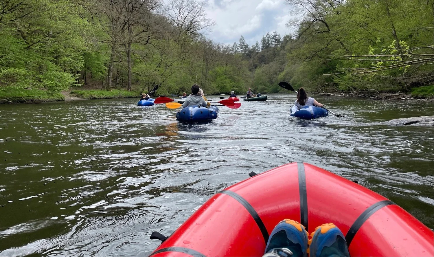 Activités de la région
